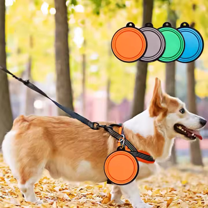 Pet Outdoor Supplies