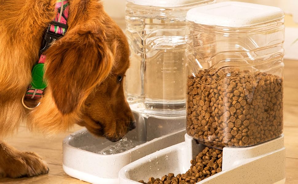 Pet Feeding & Drinking