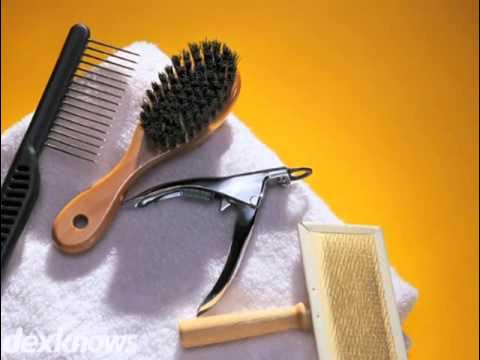 Pet Grooming & Hygiene